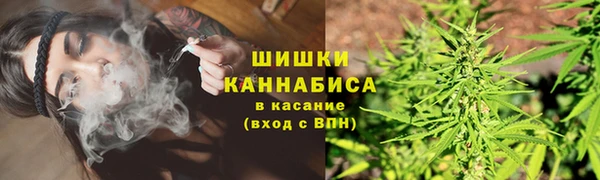 скорость Лиски
