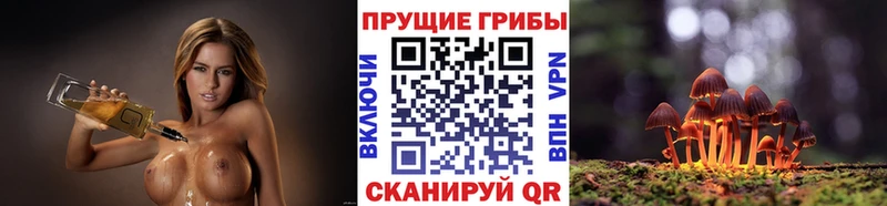 Псилоцибиновые грибы Psilocybine cubensis  Купить  Закаменск 
