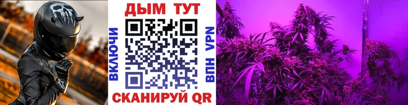 Конопля индика  Купить где  Закаменск 